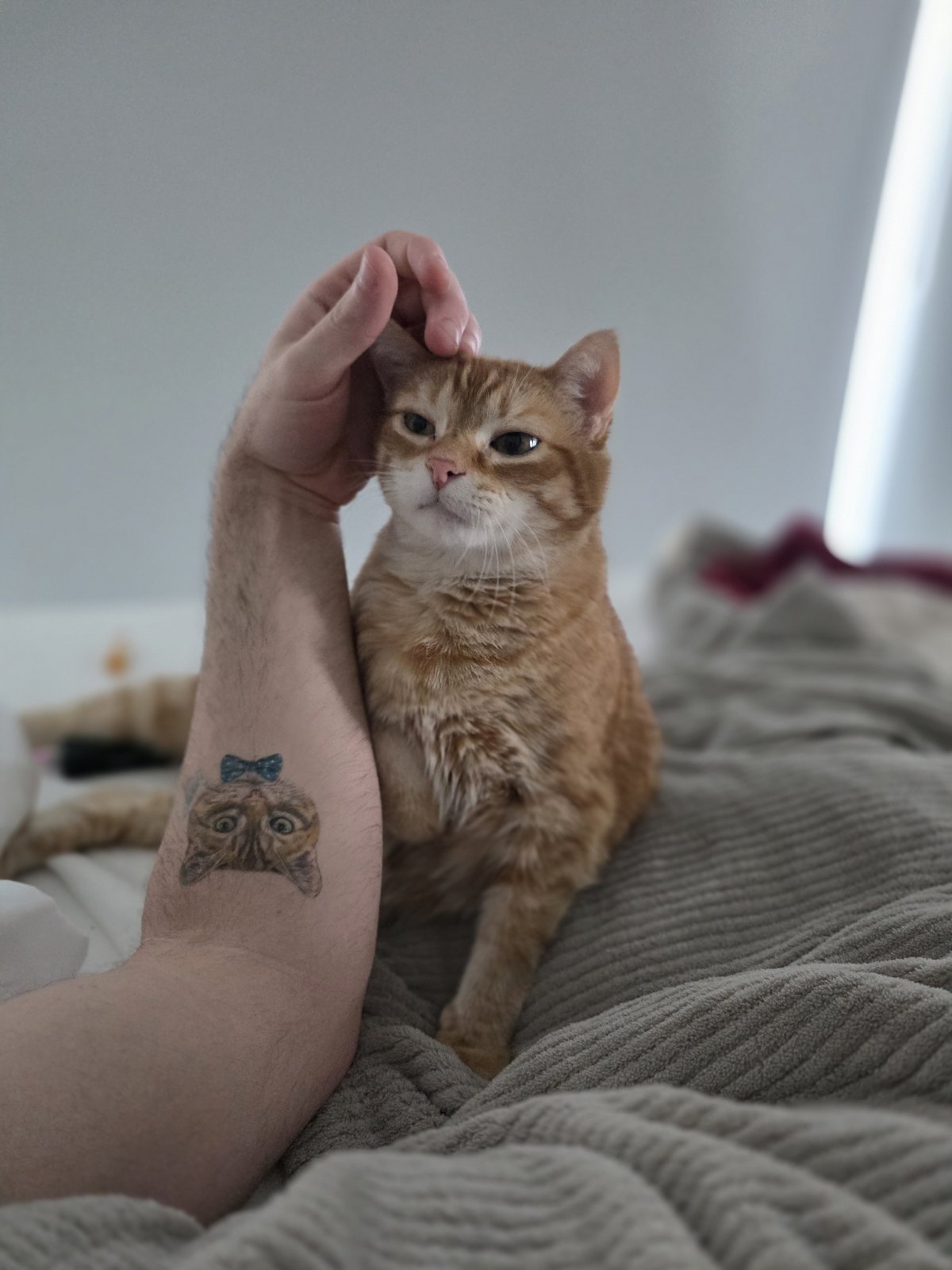 Sonny, a hand resting on his head