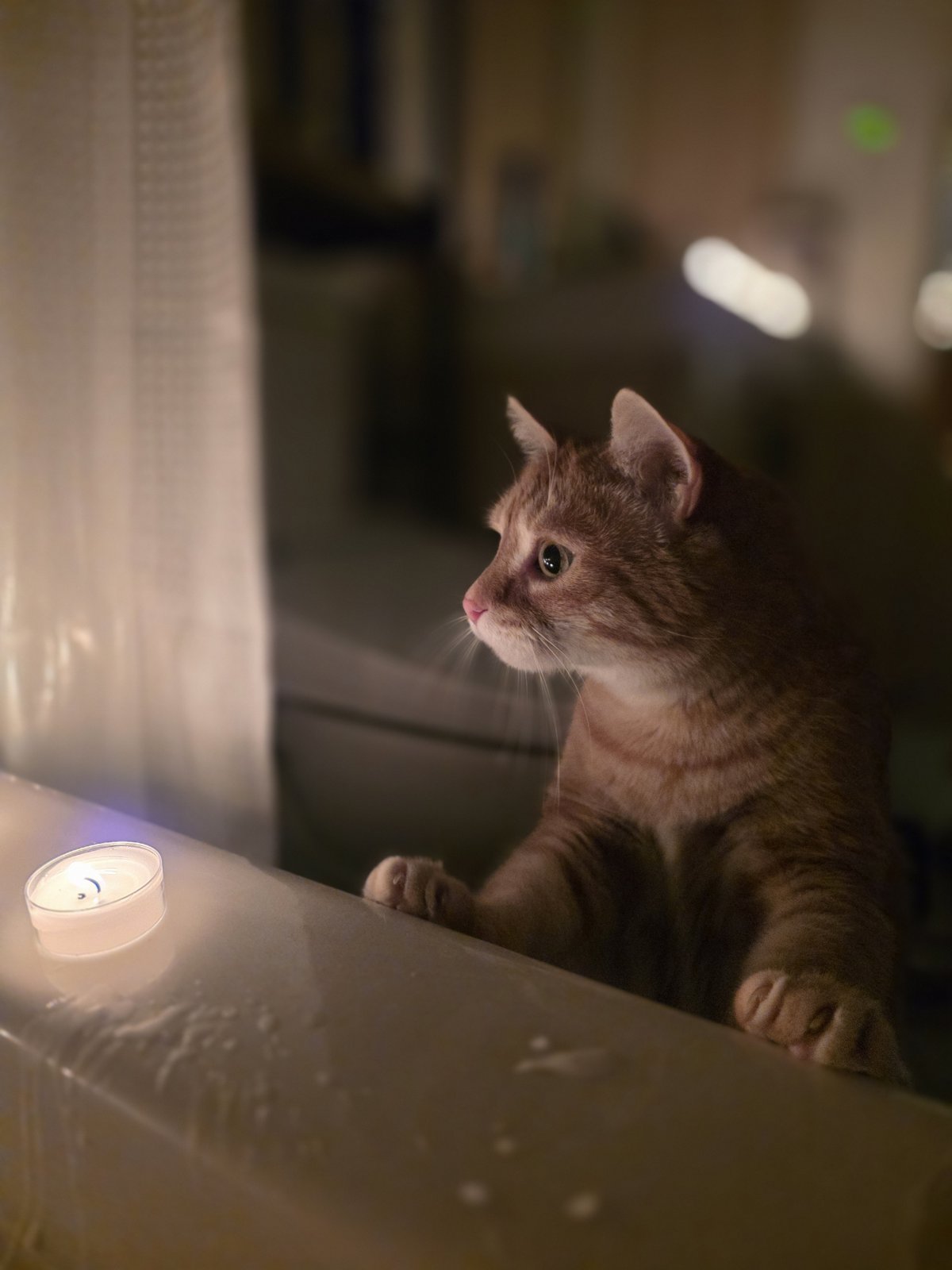 Sonny by candlelight